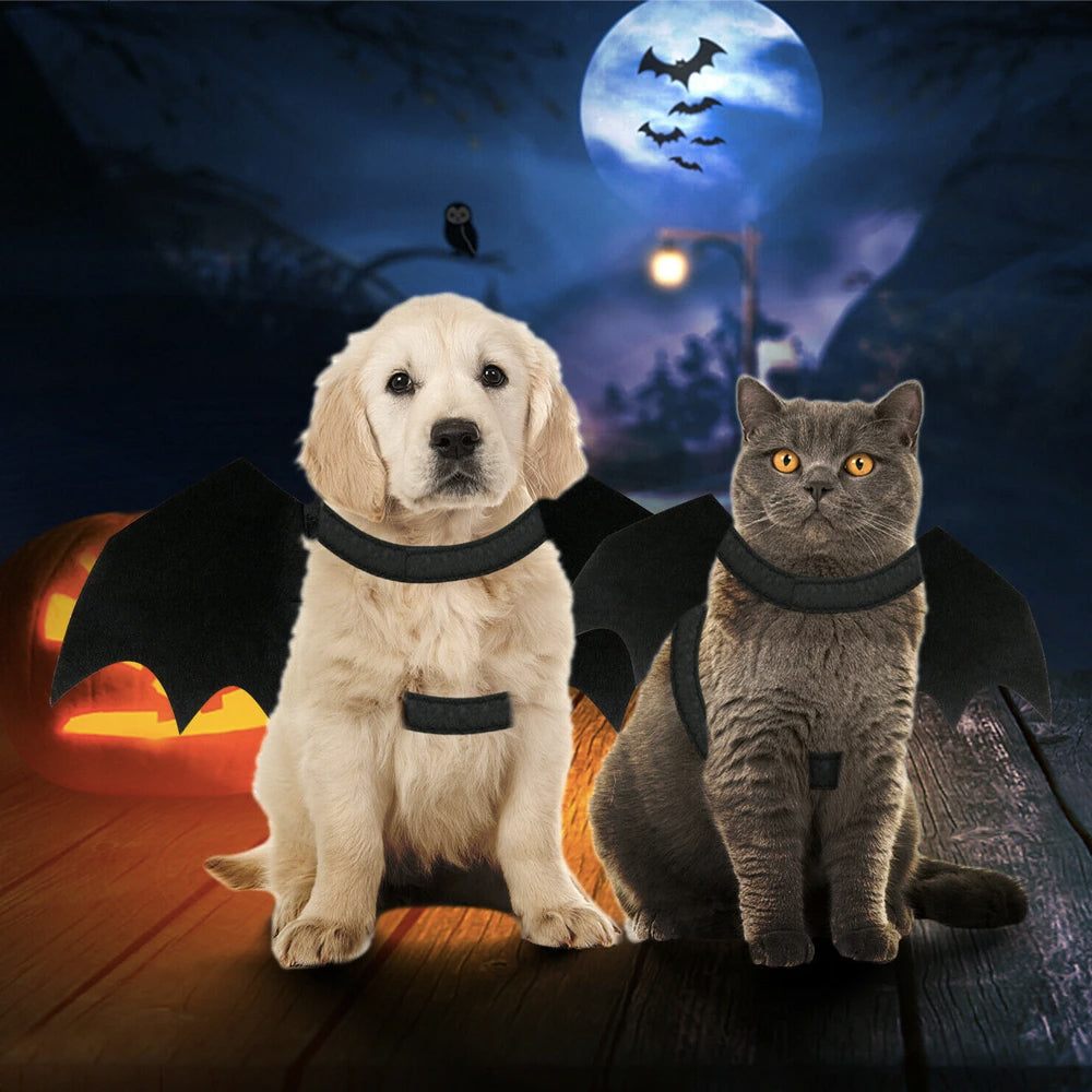 Costume de Chauve-Souris pour Chats et Chiens Halloween