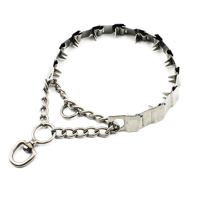 Collier de Dressage pour Chien