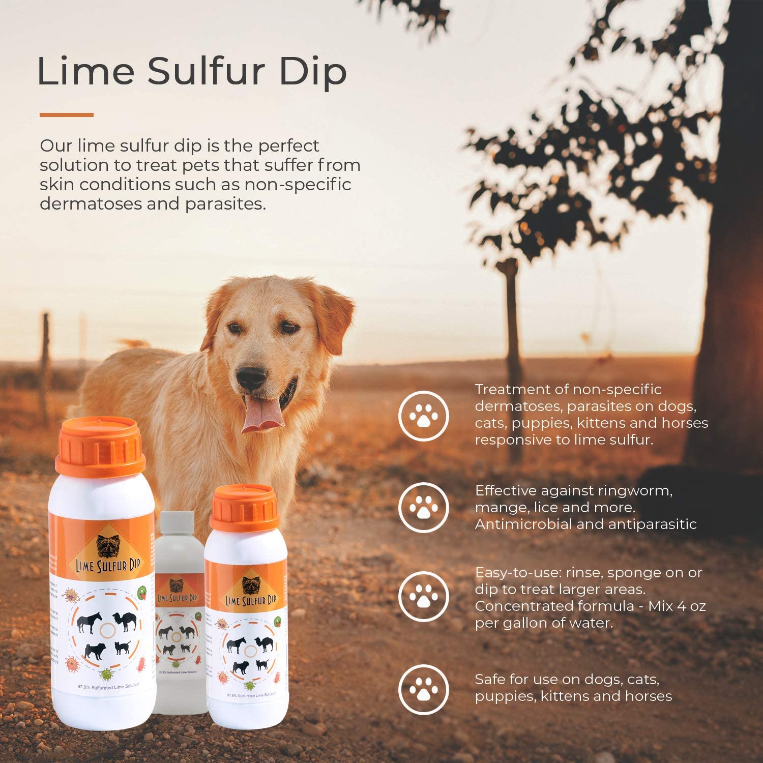 Solution Sûre Classic's Lime Sulfur Dip pour Chien, Chat et Cheval