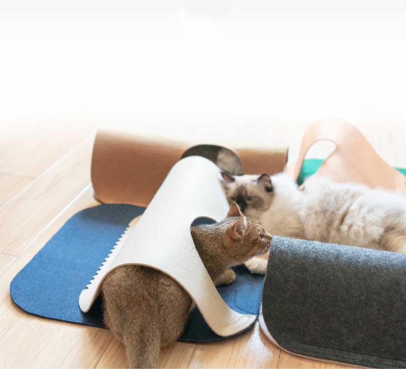 Tunnels de Jeu pour Chats