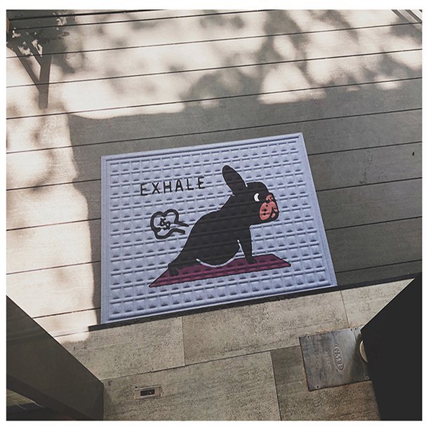 Tapis de Porte pour Chiens