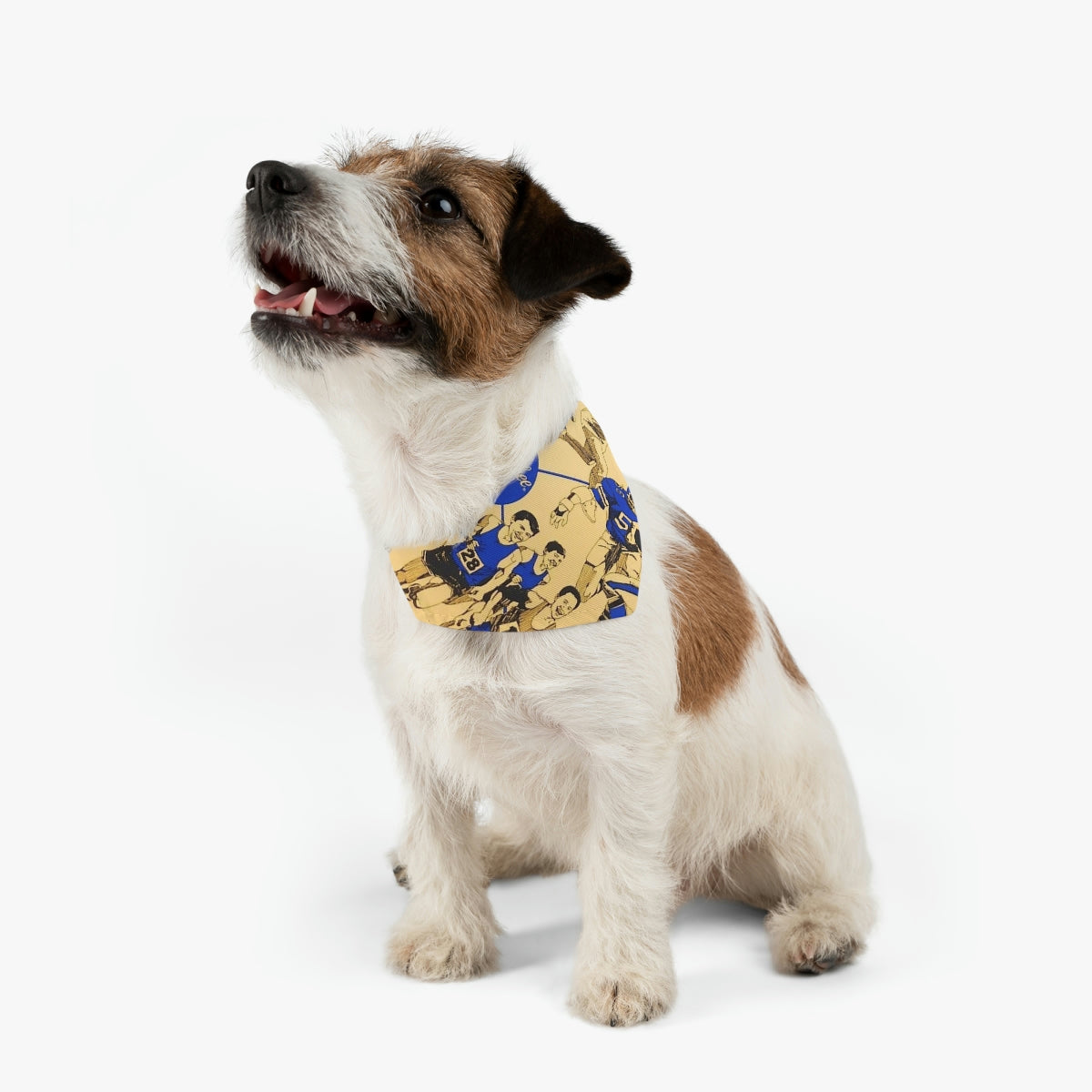 Collier Bandana pour Animal