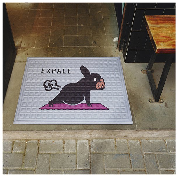 Tapis de Porte pour Chiens