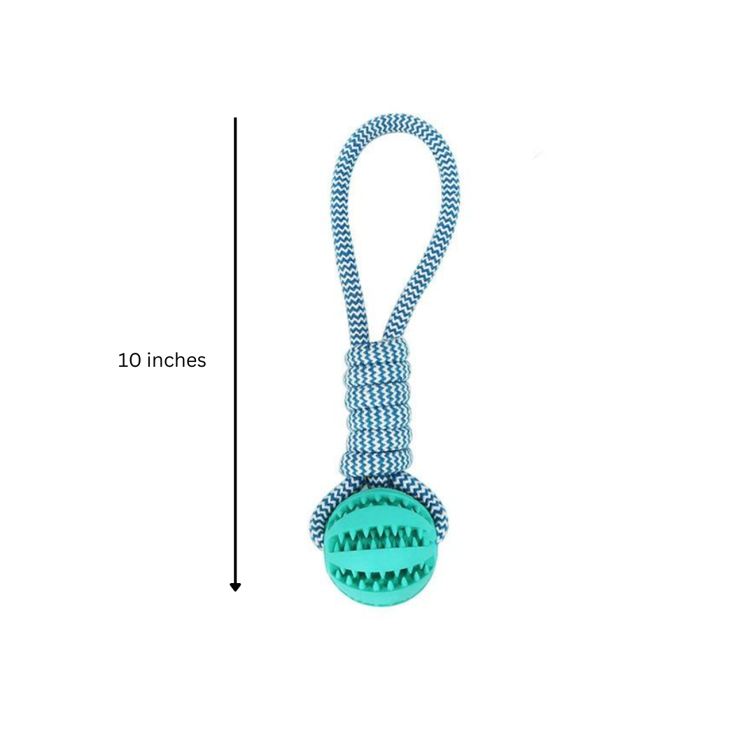 Pack de 3 jouets à mâcher et balle en corde pour chien