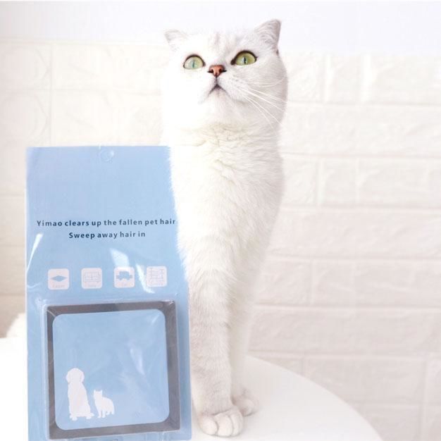 Nettoyeur de poils d'animaux