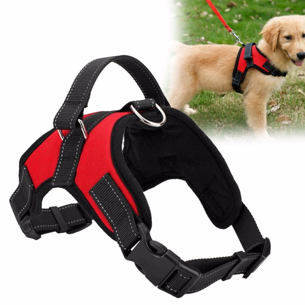 Harnais Réglable pour Chien