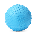 Jouet Squeaky en Caoutchouc Interactif pour Chien - (Textura, Petit)