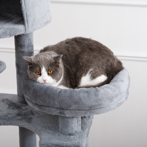 Arbre à Chats, Tour pour Chats de 105 pouces pour Intérieur