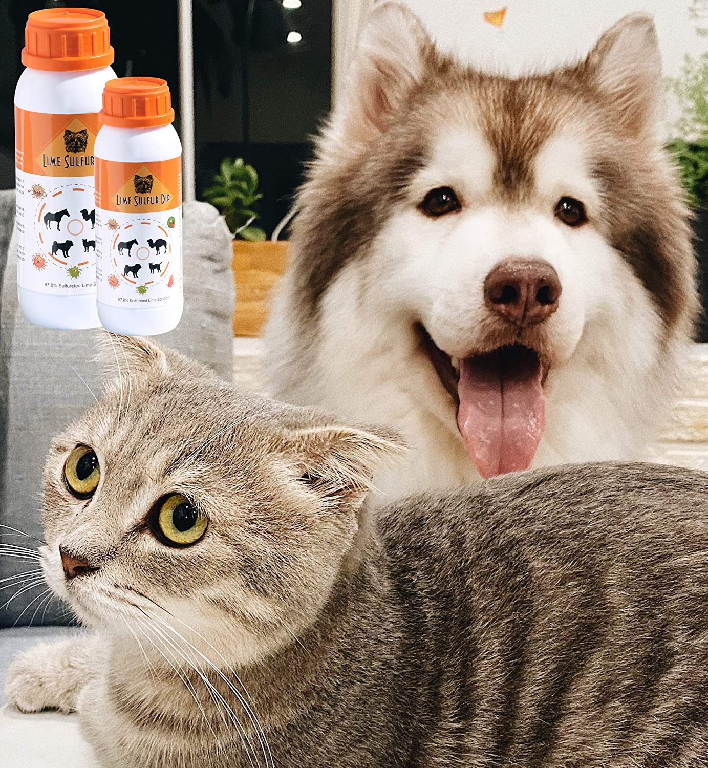 Solution Sûre Classic's Lime Sulfur Dip pour Chien, Chat et Cheval