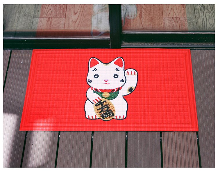 Tapis d'entrée pour chat