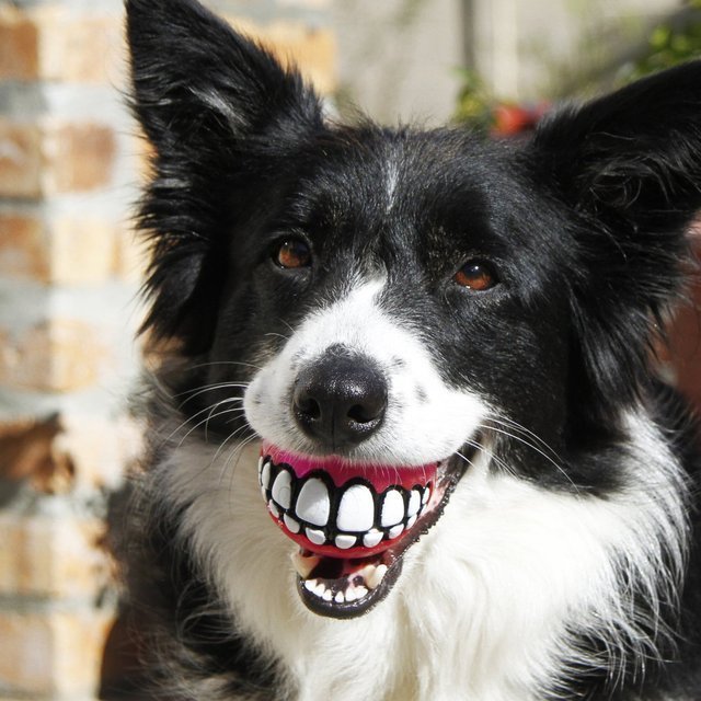 Grinz Friandise Balle