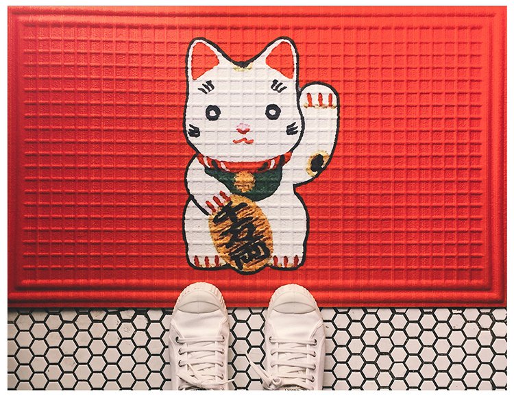 Tapis d'entrée pour chat