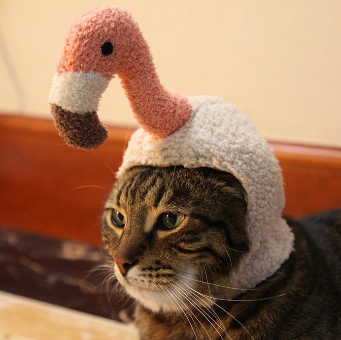 Casquette Flamant Rose