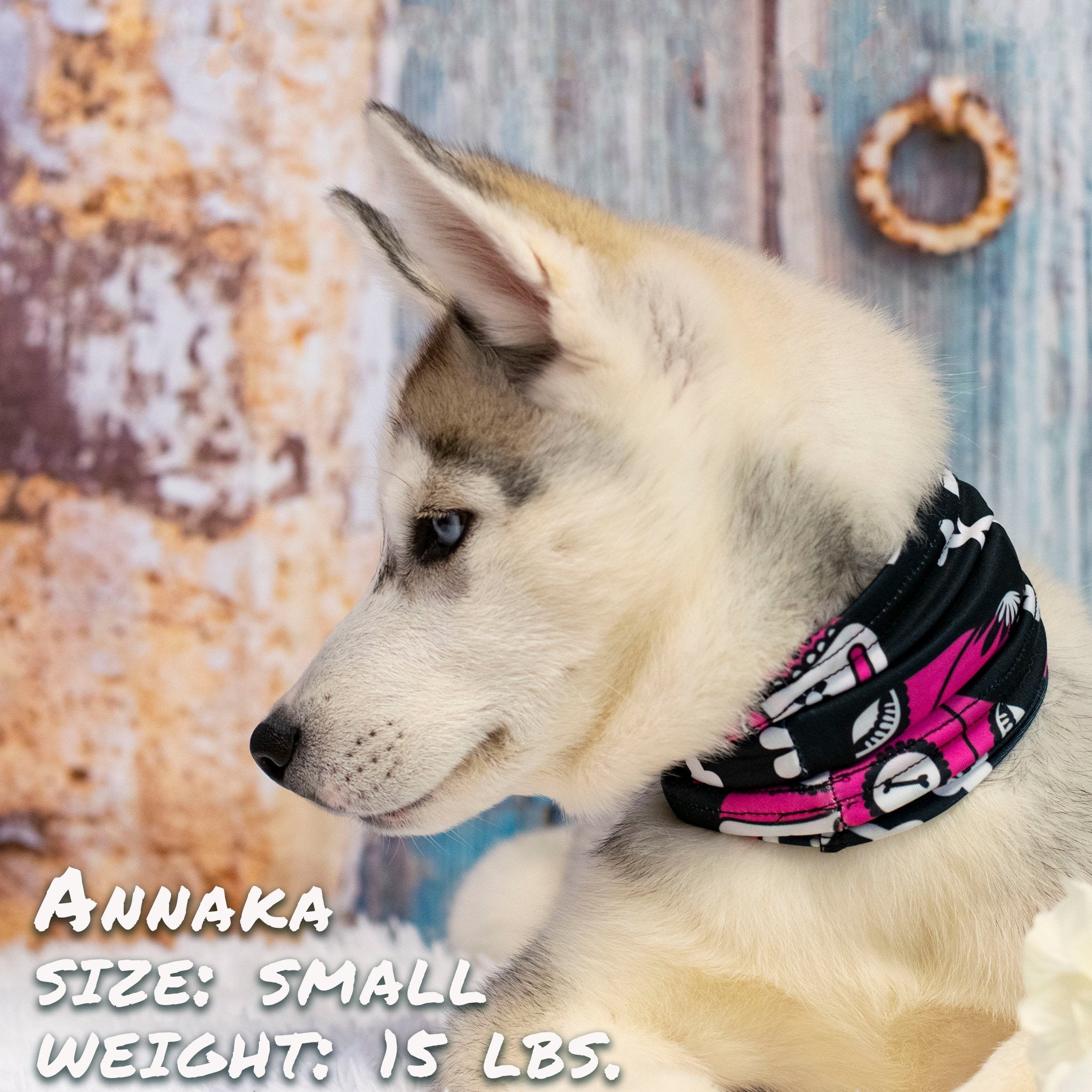 Pup Scruff Rose pour Chien