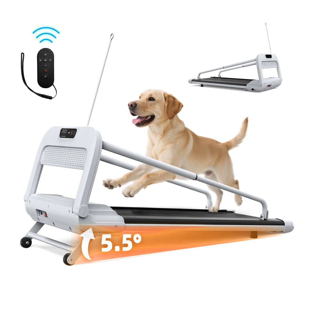 Nouveau Tapis de Course Silencieux Intelligent pour Animaux, Vitesse Réglable, Parfait pour Petits