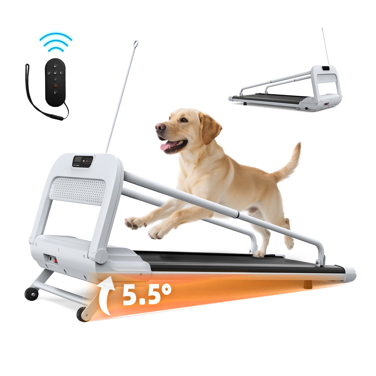 Nouveau Tapis de Course Silencieux Intelligent pour Animaux, Vitesse Réglable, Parfait pour Petits