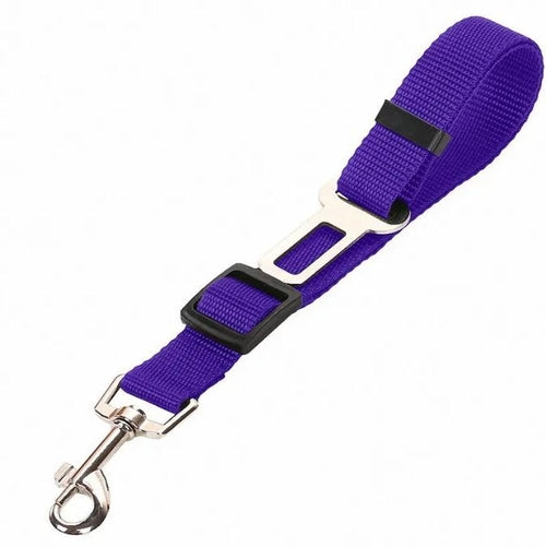 Laisse Véhicule Nylon Réglable pour Animaux Résistante