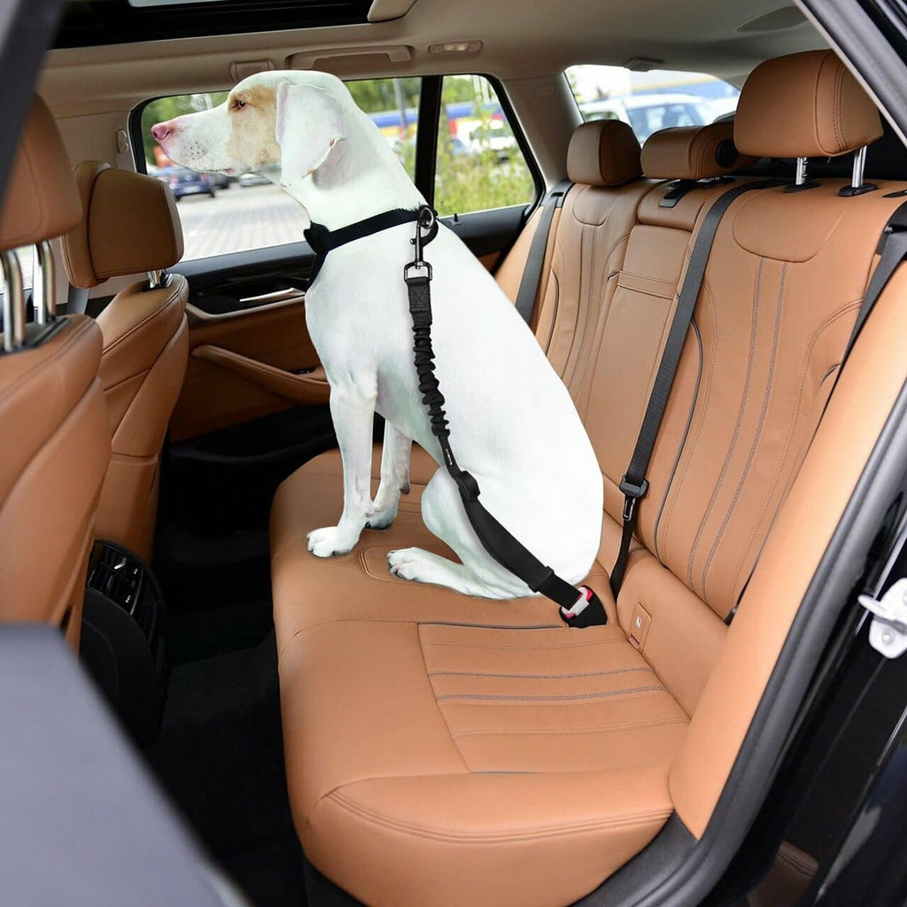 Harnais Réglable pour Chien - Pack de 2 avec Connecteur de Sécurité