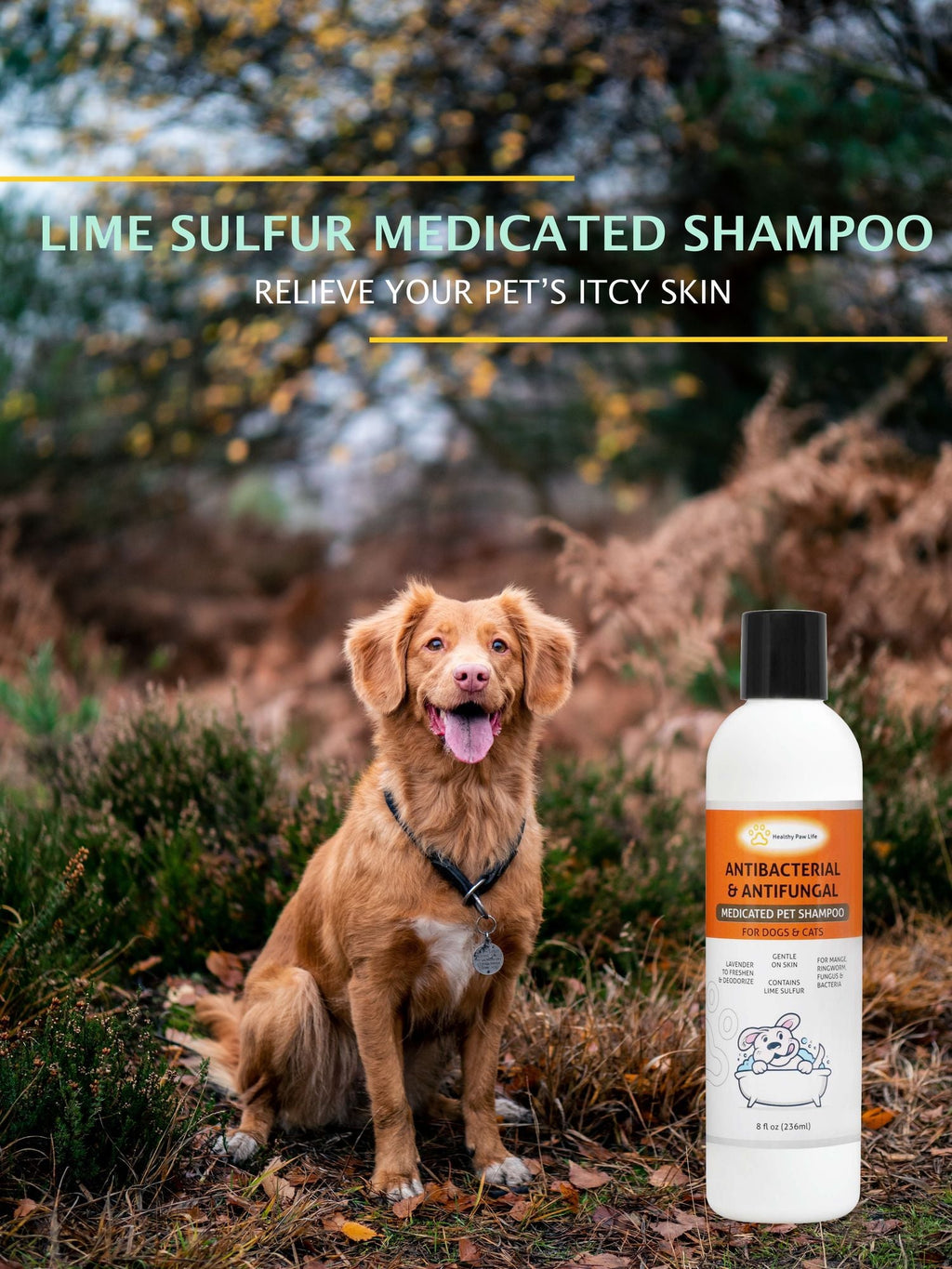 Lime Sulfur Animal Shampooing - Animal Care et Veterinary Solution pour Itchy