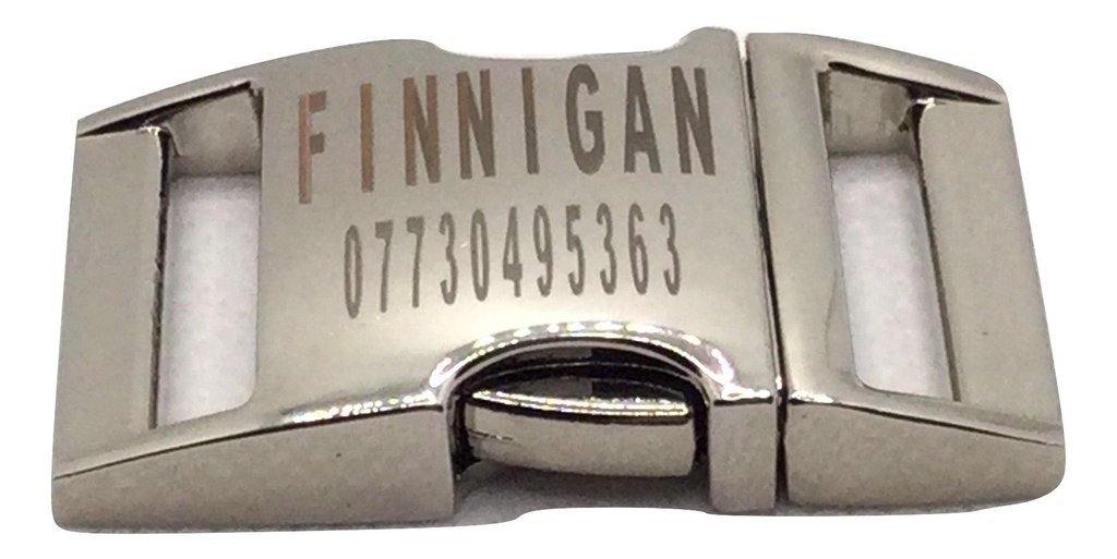 Collier Luxueux pour Chiens Élégants