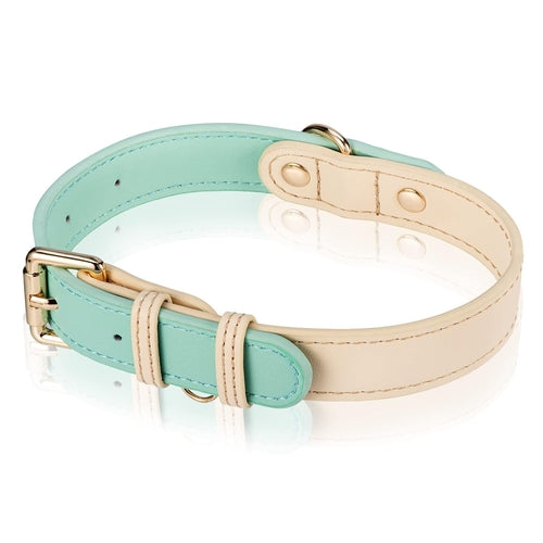 Collier pour chien S M L