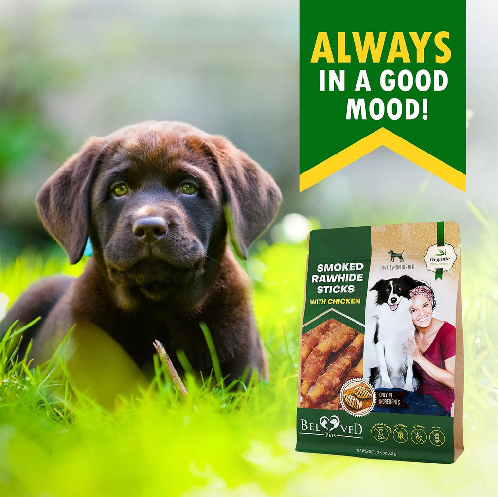 Friandises Naturelles à Mâcher pour Chien