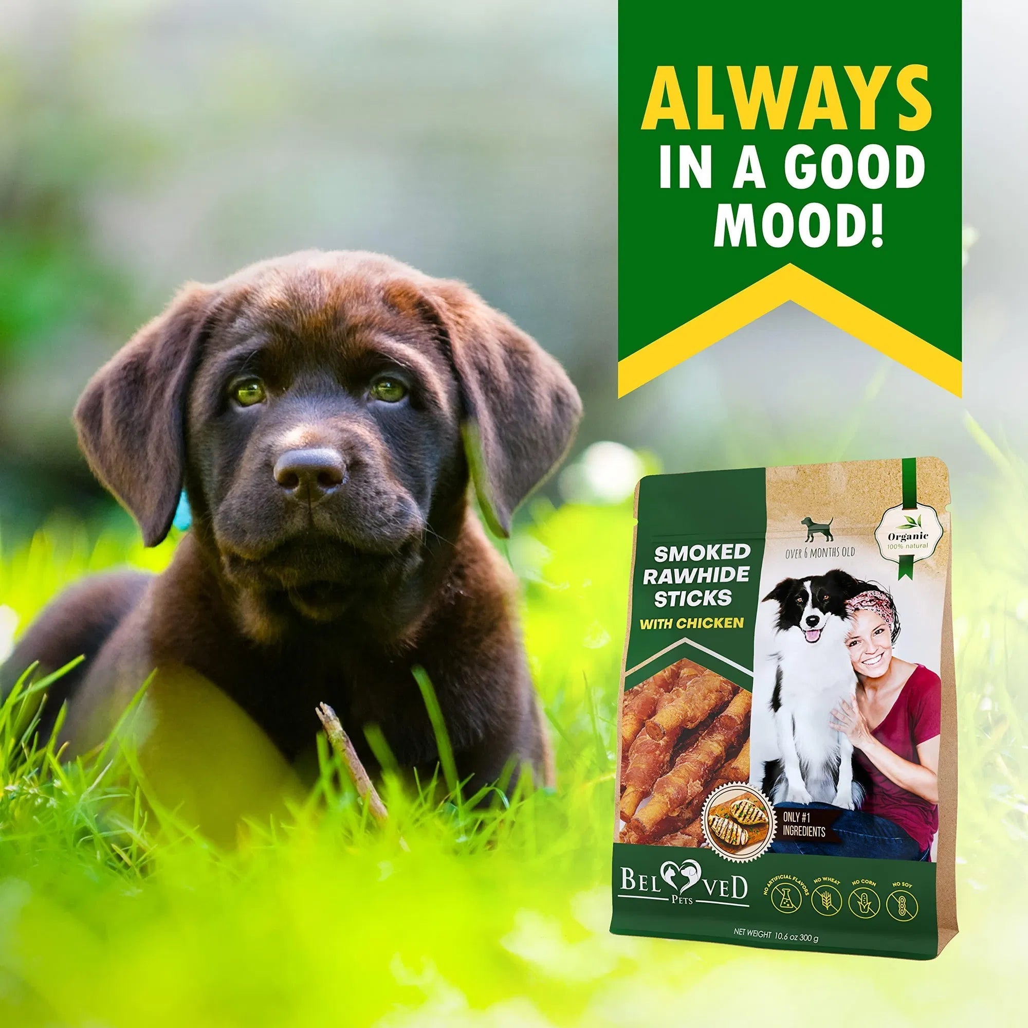 Friandises Naturelles à Mâcher pour Chien