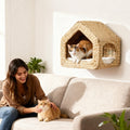 Maison murale pour chat : un refuge élégant et gain de place