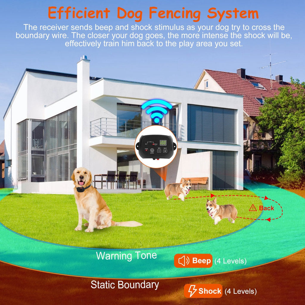 Système de clôture pour chien avec cent éléments