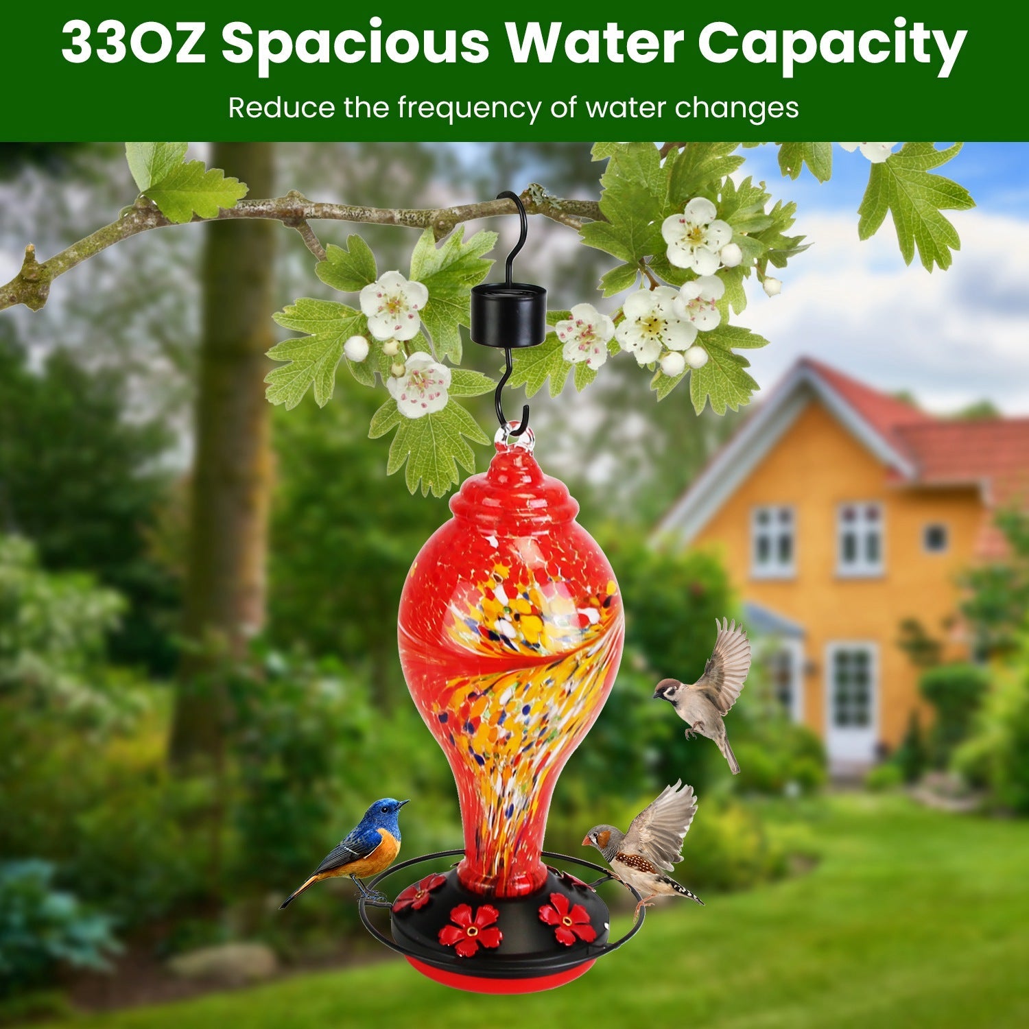 Distributeur en verre pour colibris 33 oz soufflé à la main avec 5 accessoires