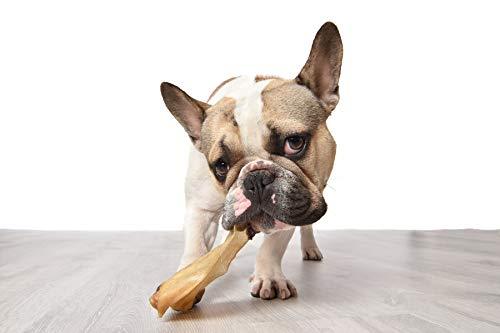 Oreilles de Vache pour Chiens