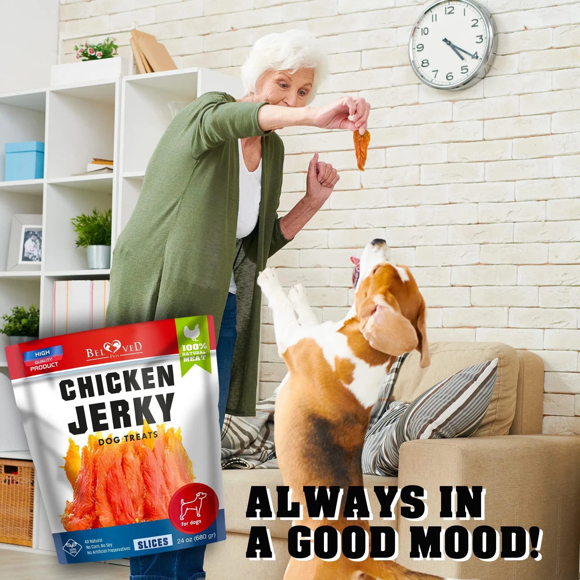Friandises de Poulet pour Chien 680 g