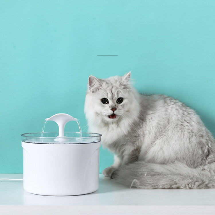 Fontaine à Eau Automatique pour Chiens et Chats