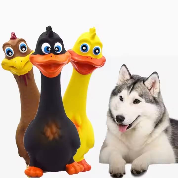 3pcs Latex Screaming Chicken Jouets Eco Friendly TPR Animal Squeaky Chien