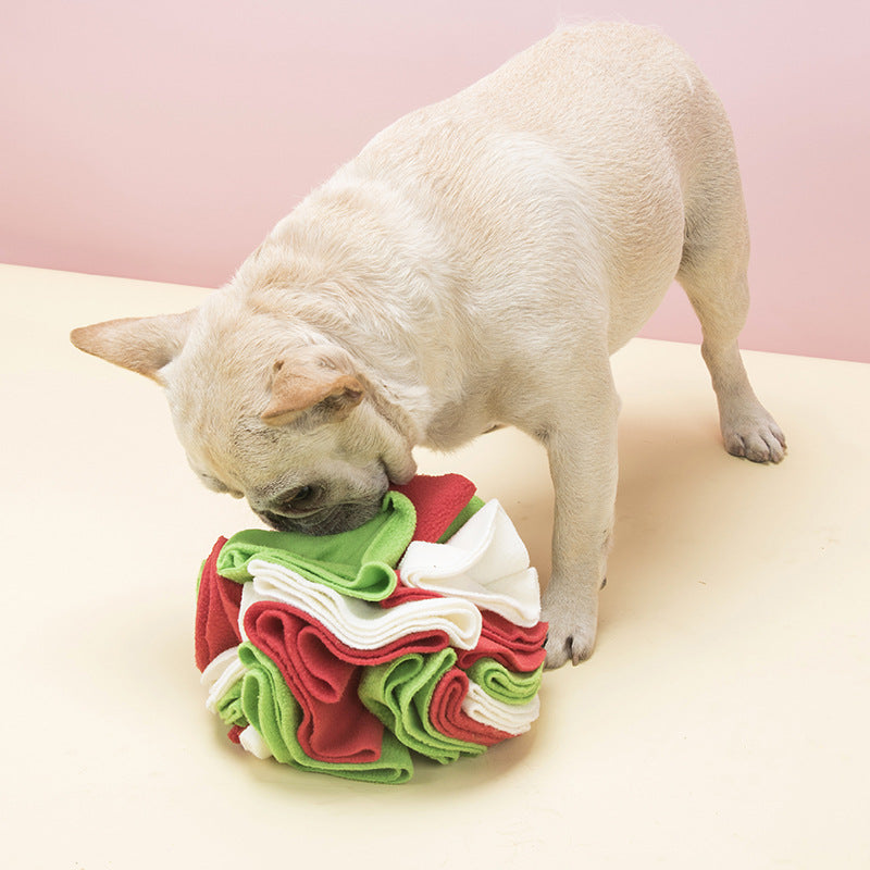 Tapis de Dressage pour Chien