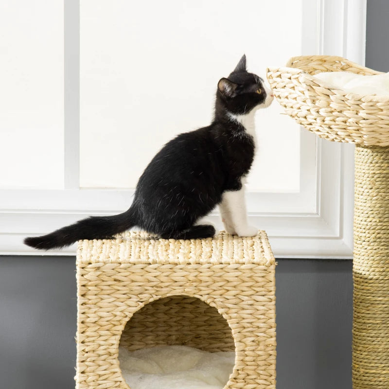 Arbre à chat PawHut en osier pour chats d'intérieur, tour pour chatons avec rotin