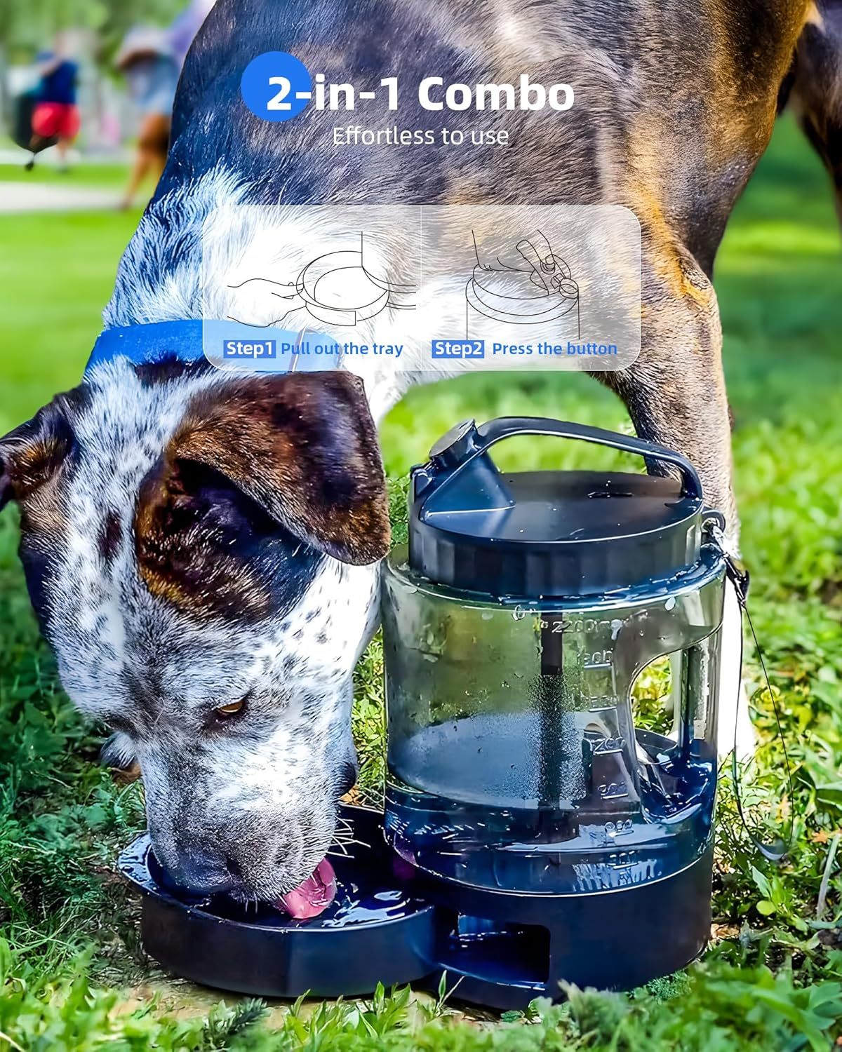 Bouteille d'Eau de Voyage pour Chien, Grande Capacité