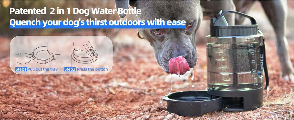 Bouteille d'Eau de Voyage pour Chien, Grande Capacité