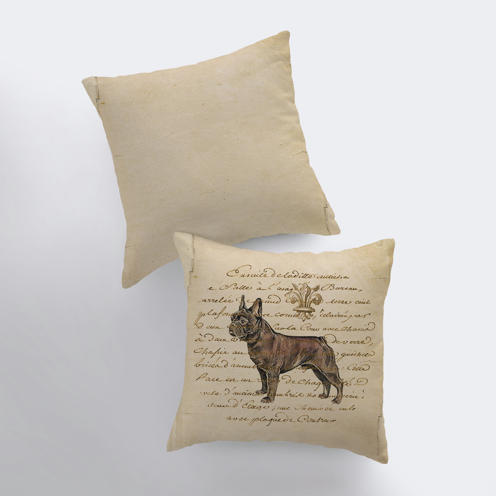Coussin Bouledogue Français