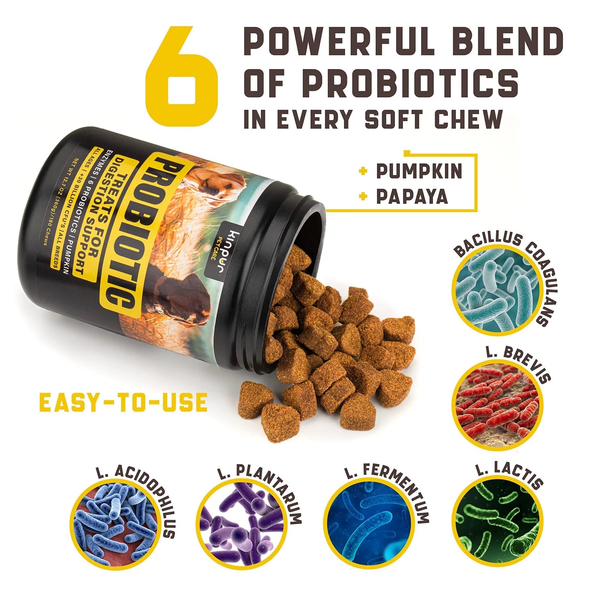 NO AMAZON Probiotiques pour Chiens - Soutien à la Santé Intestinale, Peau Démangeante, Allergies