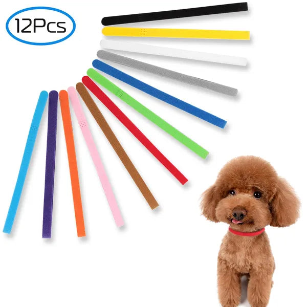 12 Couleurs Colliers d'Identification pour Chiots Réglables Double Face