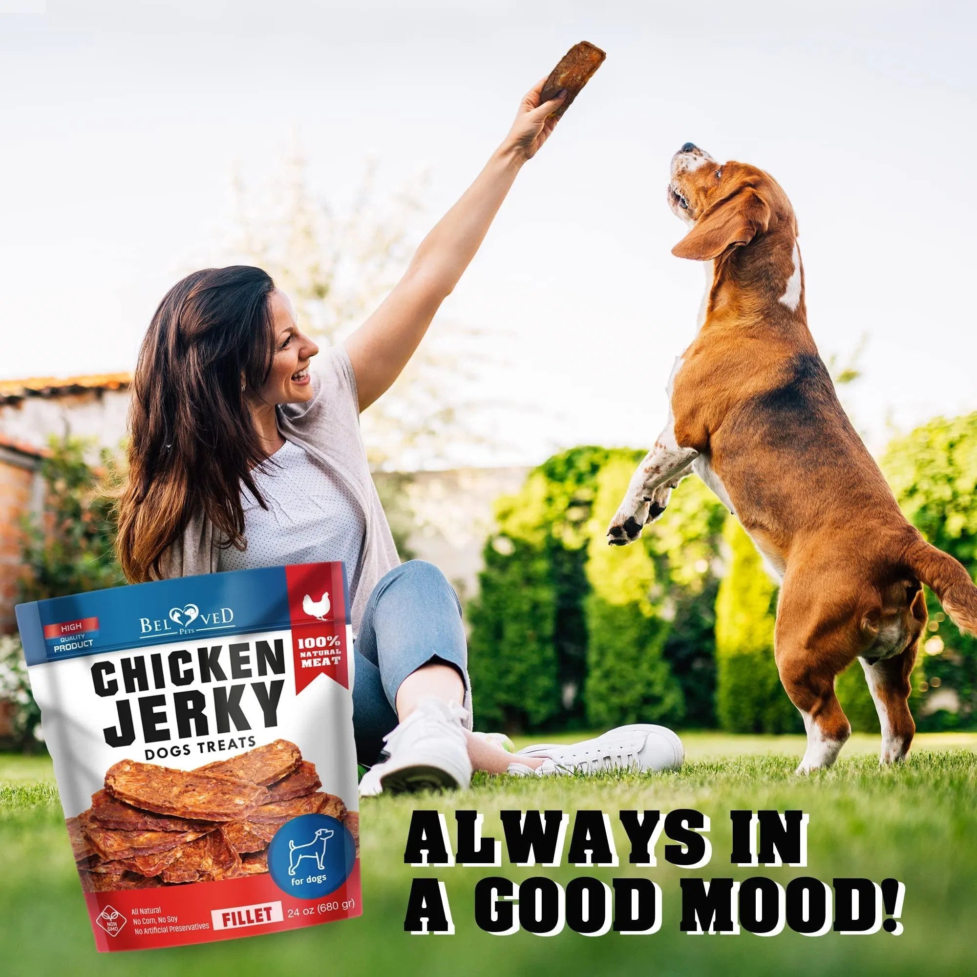 Friandises au Poulet pour Chiens 680 g