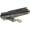 Laisse Chien Blue Fusion Finnigan