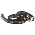 Ensemble Collier Deluxe pour Chien Finnigan
