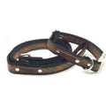 Collier Chien Designer Résistant Finnigan's No.04m