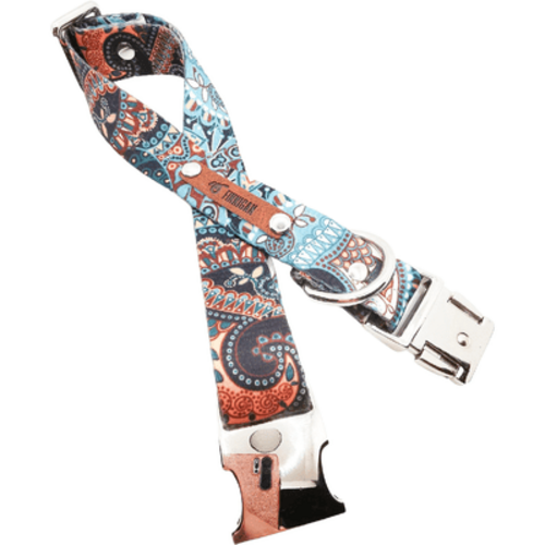 Collier Résistant Designer pour Chien