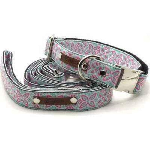 Ensemble Collier Chien Signature
