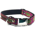 Collier pour Chien No.13m
