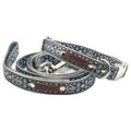 Collier Chien Résistant Design Taille M