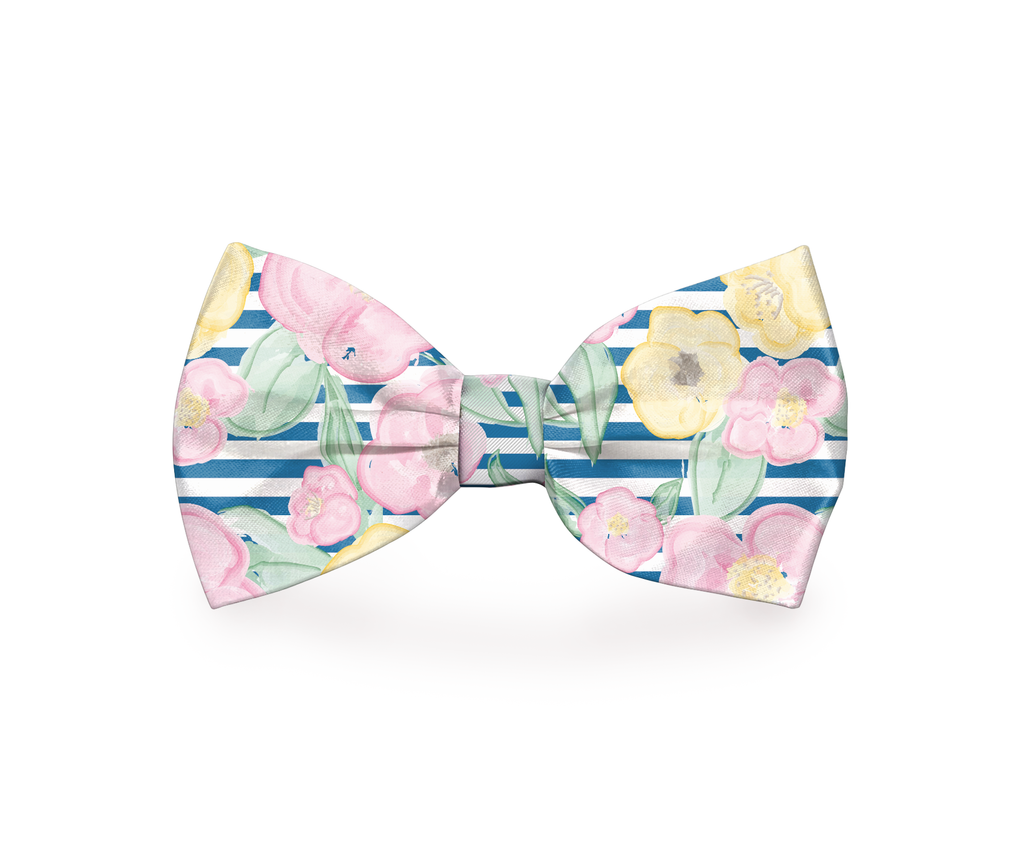Nœud papillon floral pour chien